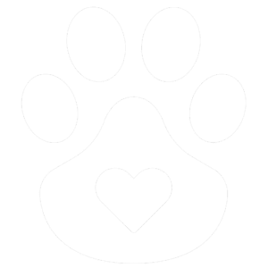 Best Veterinary Hospital In Washougal, Wa | Camas Washougal Animal Hospital