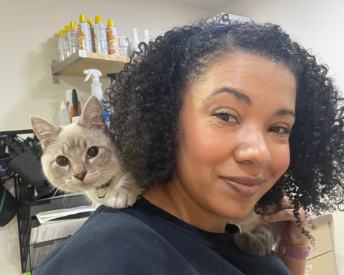 Coming soon placeholder